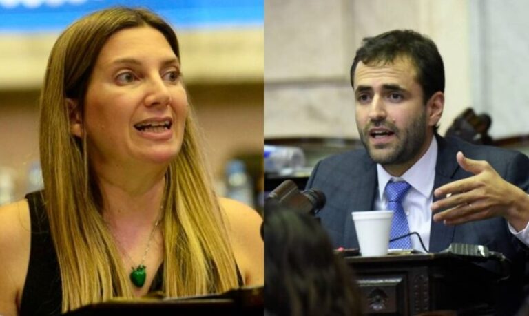 Quién es la diputada que pidió tratar el desafuero de Emiliano Estrada