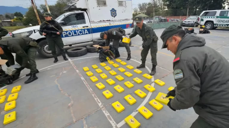 Allanamientos en Salta: 8 inmuebles vinculados al narco, 177 kilos de cocaína incautados