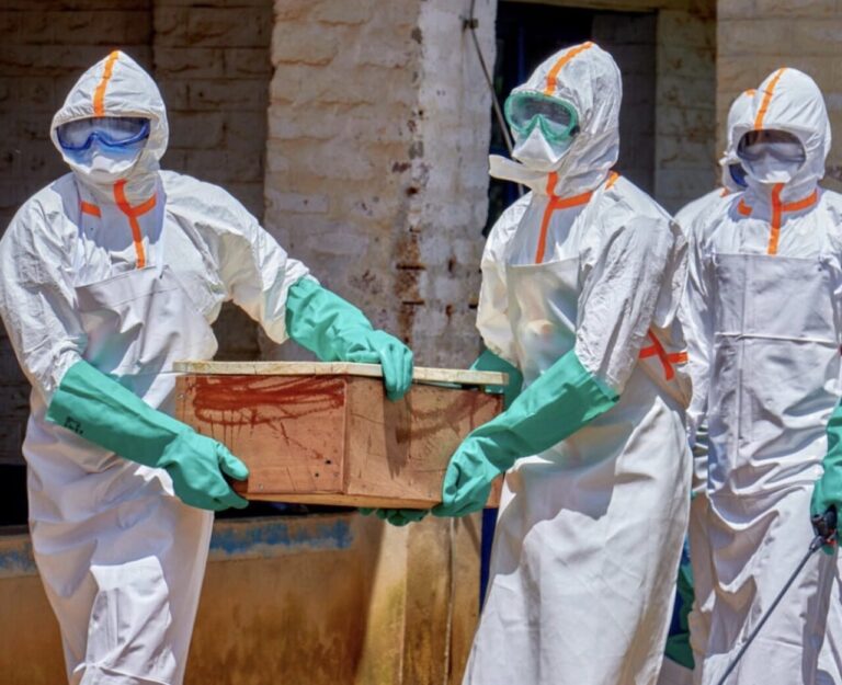 Alerta por ébola en Argentina: detectaron embarcaciones provenientes de zonas de riesgo y activaron protocolos sanitarios