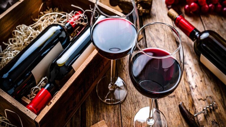 Preocupación en el turismo de bodegas: aseguran que cayó un 75 %