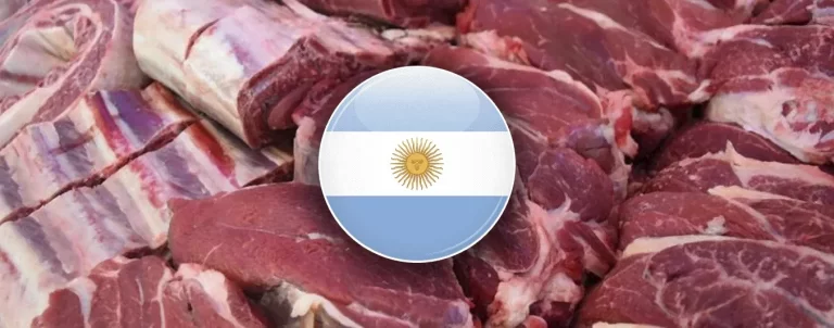 El acuerdo Mercosur-UE empieza a aplicarse: proyectan un aumento del 80% en las exportaciones argentinas