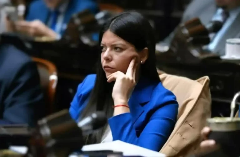 El Senado de la Nación pidió informes para investigar a Emilia Orozco y asesores por «intimidación pública»