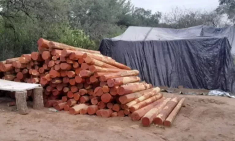 Rescatan a más de 30 personas víctimas de condiciones de explotación en El Quebrachal