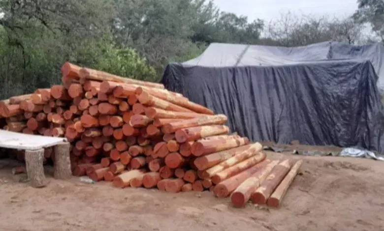 Rescatan a más de 30 personas víctimas de condiciones de explotación en El Quebrachal