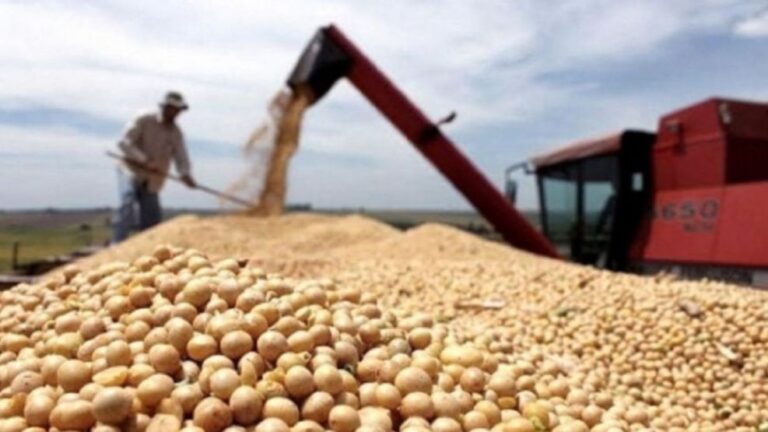 Qué efecto tendrá en Salta la baja de retenciones anunciada por Milei