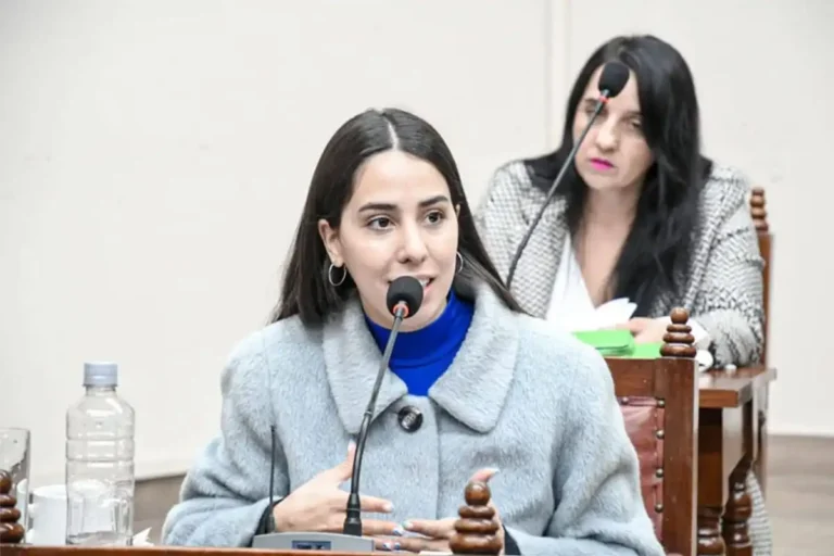 Agustina Álvarez pide políticas contra la violencia de género mientras su partido las recorta