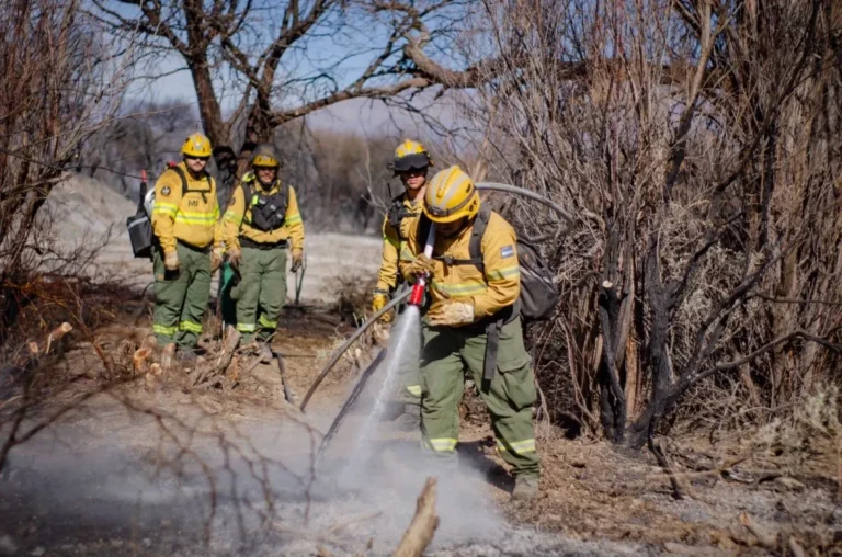 Denuncian que el incendio de Cafayate fue intencional y apuntan a posibles negocios inmobiliarios