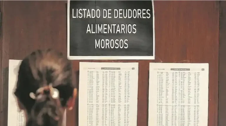 Presentaron un proyecto para que los deudores alimentarios no puedan ser candidatos