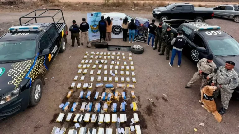 Megaoperativo narco en Salta: más de 190 kg de cocaína, armas y siete detenidos