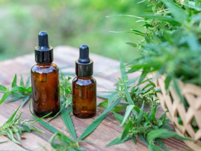 Salta reglamentó el cannabis medicinal: habilita autocultivo, terceros cultivadores y productores