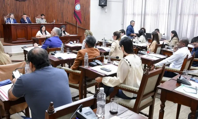 Concejales apelaron a la agenda nacional contra la Ley de Tierras mientras crecen los reclamos por la crisis local
