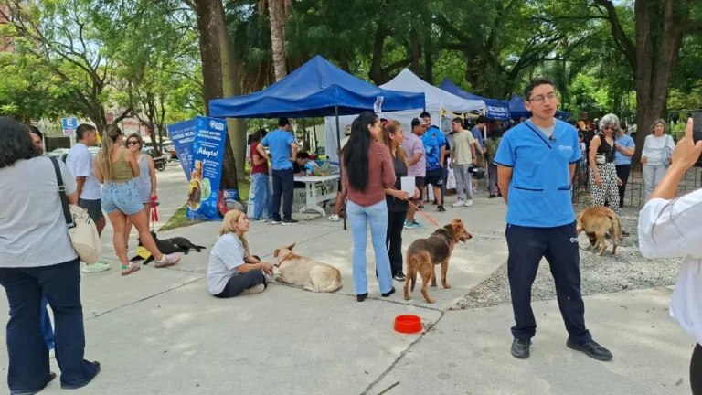 “La Muni Animal” llega a Tres Cerritos con servicios gratuitos