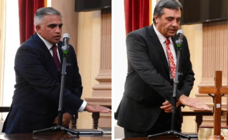 Ferraris y Nanni juraron como nuevos auditores