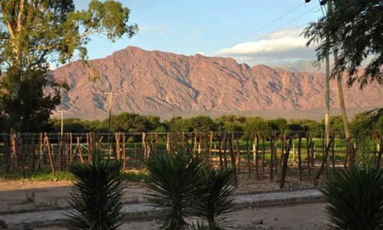 Salta, entre las provincias con mayor porcentaje de tierras en manos extranjeras