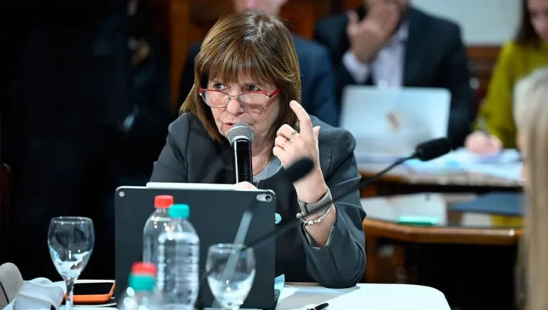 Bullrich criticó los cambios en la Ley de Discapacidad que impulsa el Gobierno en el Presupuesto: “No estaba enterada”