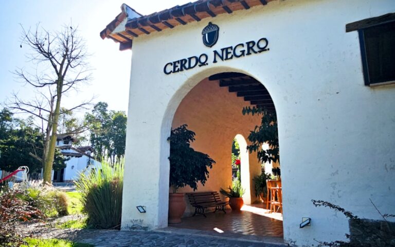 Niños en lugares nauseabundos: los detalles de la denuncia por trata laboral en Cerdo Negro