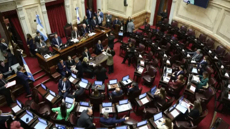 Zonas Frías: El Senado aprobó cambios que recortan el subsidio de gas