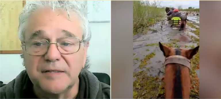 El impacto de El Niño en Argentina: cuándo será el pico de lluvias y qué zonas están en riesgo