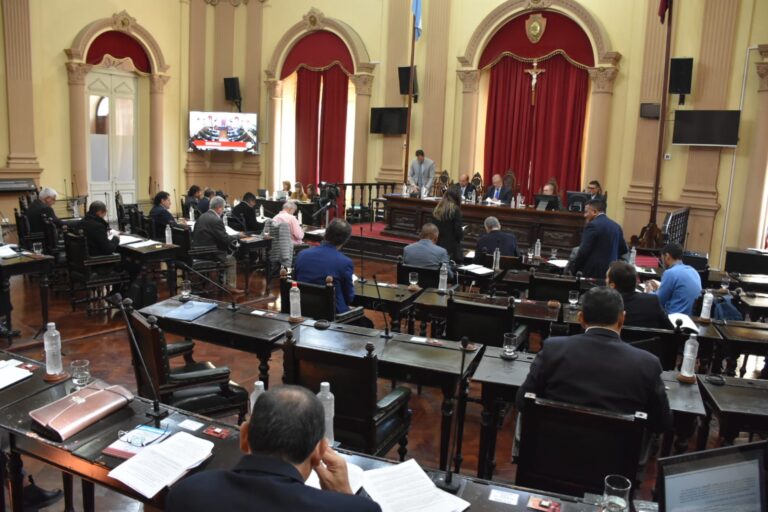 El Senado le dio media sanción a la reforma de la Carta Municipal de Capital